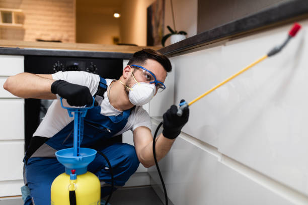 Best Pest Control Near Me  in Redby, MN