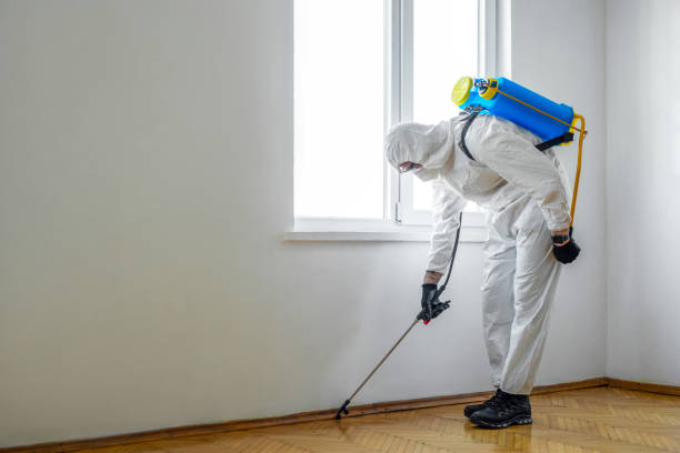 Best Commercial Pest Control Services  in Redby, MN