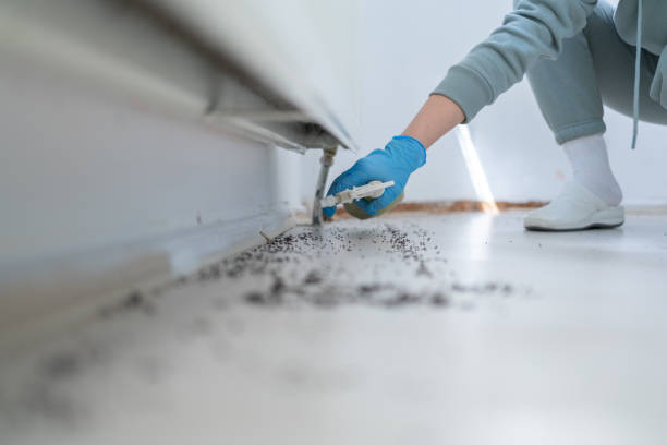 Best Pest Prevention Services  in Redby, MN